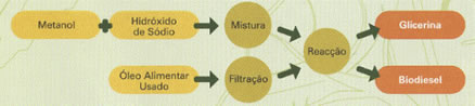 Biodiesel