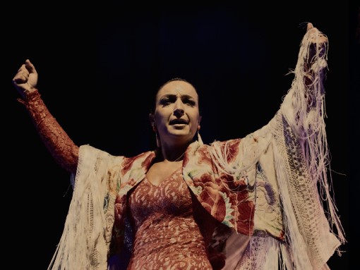 23.º FESTIVAL DE FLAMENCO | LA DEZIMA MUSA