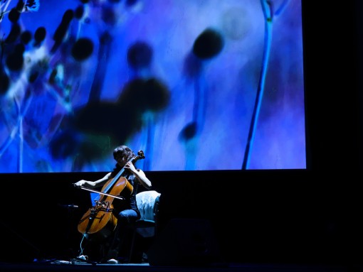 MOURA – AZUL ASSIM APENAS, por Pedro Moura e Bruna de Moura