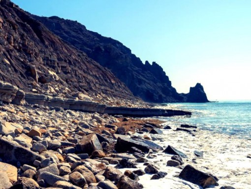 PEDRA DURA - PALEONTOLOGIA DA PRAIA DA LUZ