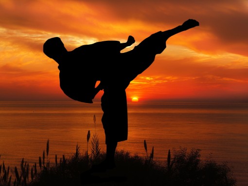 IX ESTÁGIO INTERASSOCIATIVO KARATÉ DE LAGOS