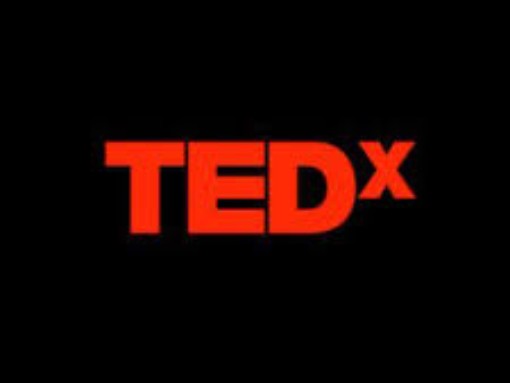 TEDX – METAMORFOSE: A BELEZA DA MUDANÇA