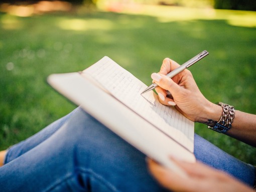 COMO ESCREVER UM LIVRO: CAPÍTULO A CAPÍTULO, PLANEAR A ESCRITA DO LIVRO, por Rosa Silva