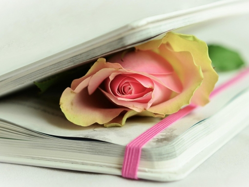 Lagos à descoberta da Poesia