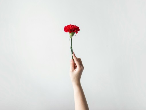 ALMOÇO COMEMORATIVO DE 25 DE ABRIL - ODIÁXERE