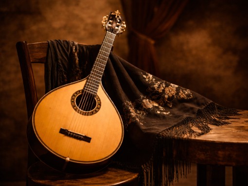 O FADO SAI À RUA