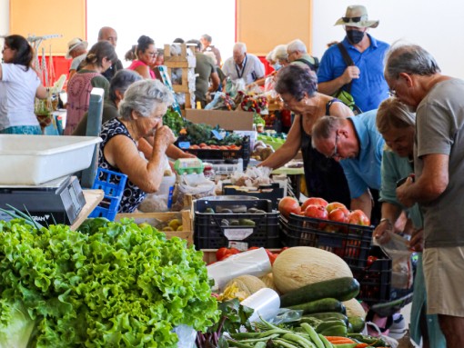 ANIMAÇÃO MUSICAL NO VIV’O MERCADO