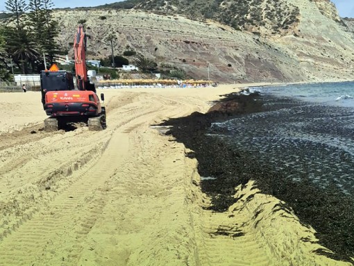 CONFERÊNCIA “ALGAS INVASORAS: DESAFIO PARA PRAIAS MAIS LIMPAS”