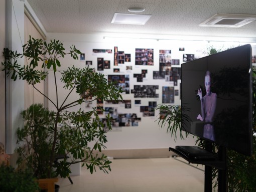 PEDRA DURA | EXPOSIÇÃO CENDDA - CENTRO DE DOCUMENTAÇÃO DE DANÇA DO ALGARVE