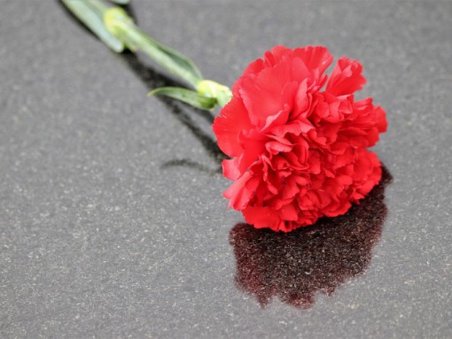 EXPOSIÇÃO “PELA BORDA FORA: A EXCLUSÃO NO ESTADO NOVO PORTUGUÊS”