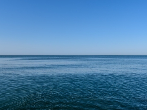 Câmara Municipal de Lagos discorda de exploração de aquacultura em mar aberto no Barlavento Algarvio