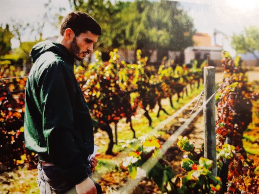 PALESTRA “O ALGARVE, LAGOS E O VINHO – DESCOMPLICAR O VINHO”