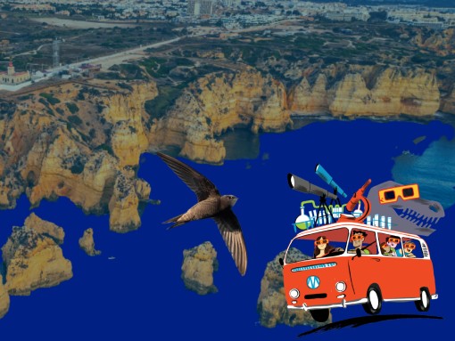GEOBIODIVERSIDADE DA PONTA DA PIEDADE