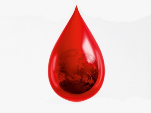CAMPANHA DE RECOLHA DE SANGUE