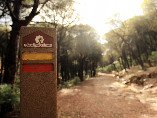 Lagos apoia “Via Algarviana – Um Território de Oportunidades”