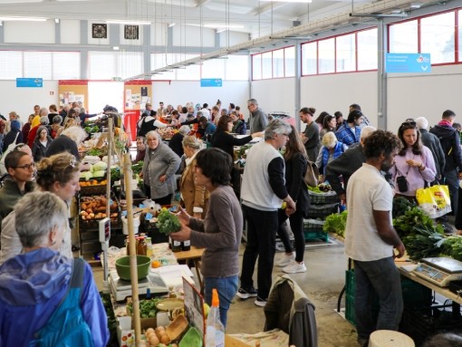 ANIMAÇÃO MUSICAL NO VIV’O MERCADO