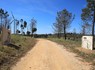 Zona norte da Mata de Barão de São João (Vinha Velha)/Barão de S. Miguel (Vila do Bispo)