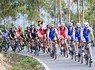 Lagos acolhe a chegada da 1ª etapa da Volta ao Algarve em Bi...