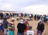 Arte Xávega da Meia Praia ganhou nova vida